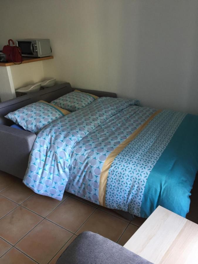 Appartement Residence Prive Avec Parking Wifi Clim Piscine Avinyon Dış mekan fotoğraf